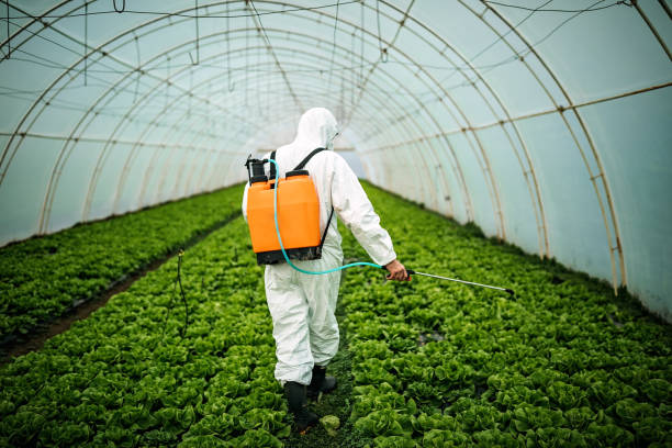 Best Pest Control Treatment  in Amity, OR
