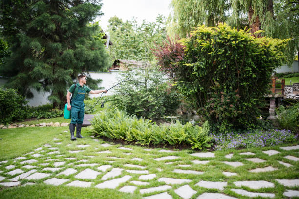 Best Cockroach Control Services  in Amity, OR