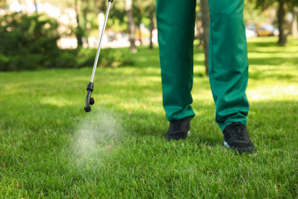 Trusted Amity, OR Pest Control Experts