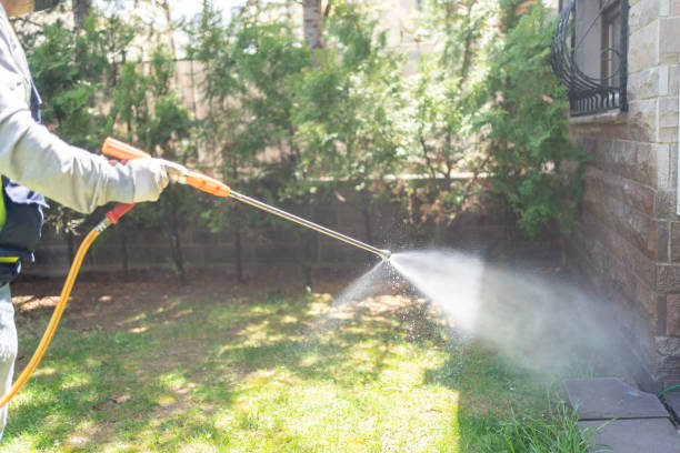 Best Termite Control Services  in Amity, OR