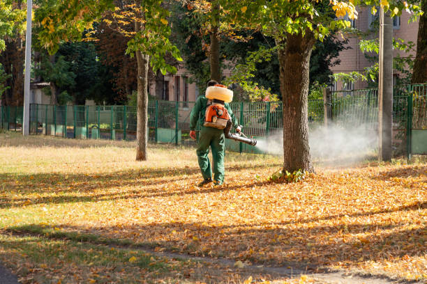 Best Residential Pest Control  in Amity, OR