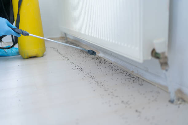 Best Wildlife Control Services  in Amity, OR