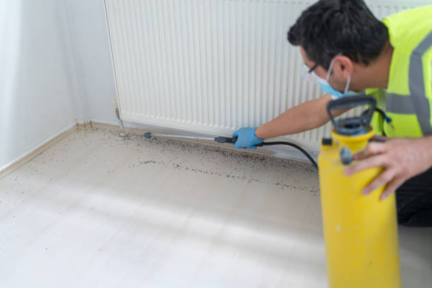 Pest Control Cost in Amity, OR