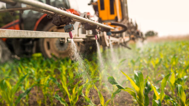Professional Pest Control in Amity, OR