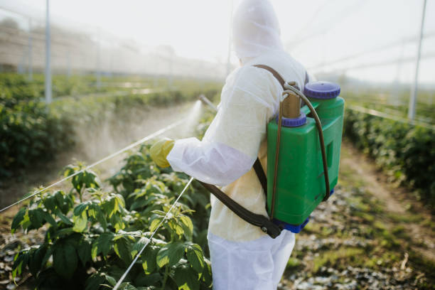 Best Best Pest Control Companies  in Amity, OR